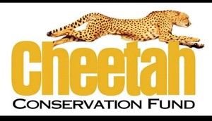 cheetah-guepard-information-protection