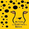 cheetah-guepard-information-protection
