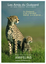 guepard-information-protection-cheetah
